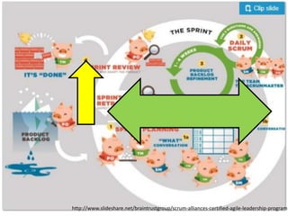 http://www.slideshare.net/braintrustgroup/scrum-alliances-certified-agile-leadership-program
 