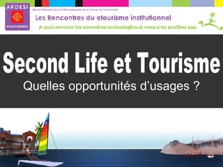 Quelles opportunités d’usages ? Second Life et Tourisme 
