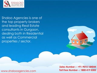Sales Number :- +91-9015 184044
www.shalooagencies.com Toll Free Number -: 1800 419 0305
Shaloo Agencies is one of
the top property brokers
and leading Real Estate
consultants in Gurgaon,
dealing both in Residential
as well as Commercial
properties / sector.
 