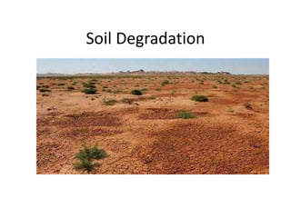Soil Degradation
 