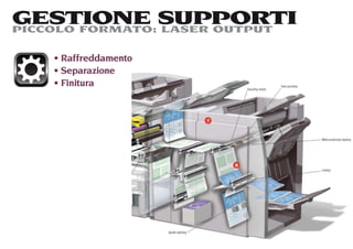 GESTIONE SUPPORTI
PICCOLO FORMATO: LASER OUTPUT

    Raffreddamento
    Separazione
    Finitura
 
