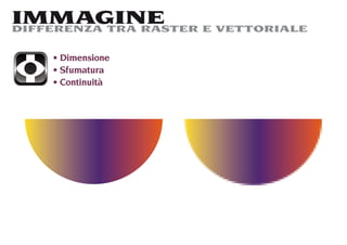 IMMAGINE
DIFFERENZA TRA RASTER E VETTORIALE

     Dimensione
     Sfumatura
     Continuità
 