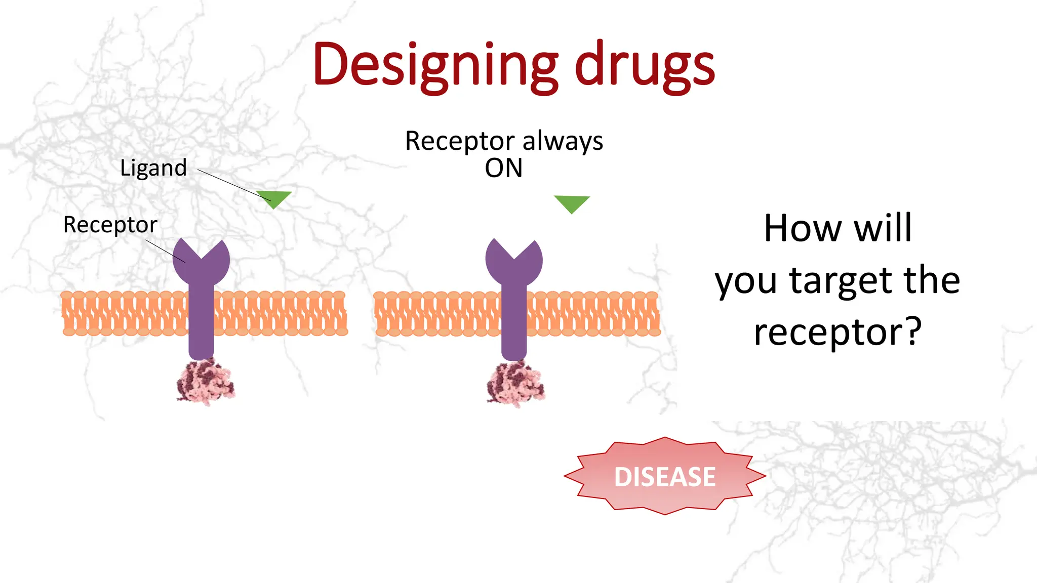 secondary-drug-dev111elopment-ppt-pptx-free-download