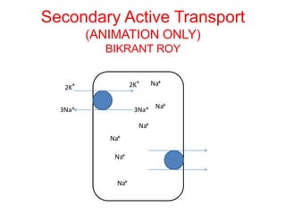 Secondary Active Transport
(ANIMATION ONLY)
BIKRANT ROY
Na+
Na+
Na+
Na+
Na+
Na+
3Na+ 3Na+
2K+ 2K+
 