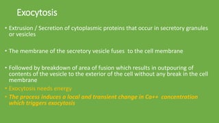 Secondary active transport | PPTX