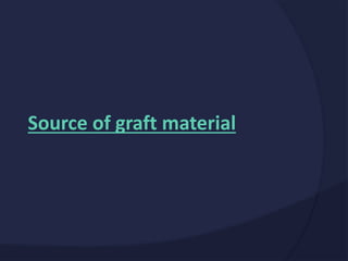 Source of graft material
 