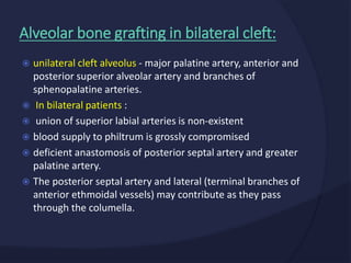  unilateral cleft alveolus - major palatine artery, anterior and
posterior superior alveolar artery and branches of
sphenopalatine arteries.
 In bilateral patients :
 union of superior labial arteries is non-existent
 blood supply to philtrum is grossly compromised
 deficient anastomosis of posterior septal artery and greater
palatine artery.
 The posterior septal artery and lateral (terminal branches of
anterior ethmoidal vessels) may contribute as they pass
through the columella.
Alveolar bone grafting in bilateral cleft:
 