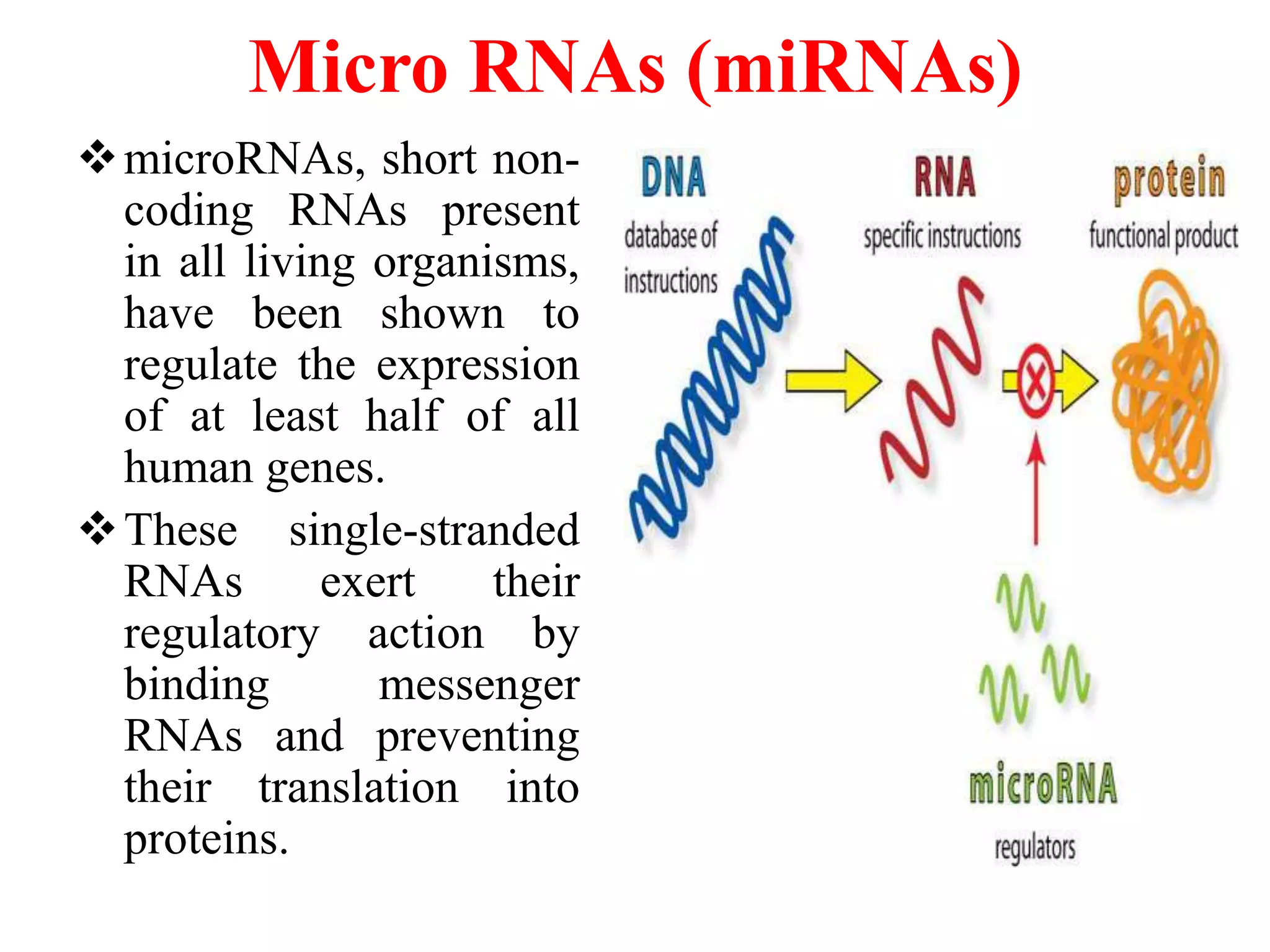 Micro RNAs (miRNAs)
microRNAs, short non-
coding RNAs present
in all living organisms,
have been shown to
regulate the expression
of at least half of all
human genes.
These single-stranded
RNAs exert their
regulatory action by
binding messenger
RNAs and preventing
their translation into
proteins.
 