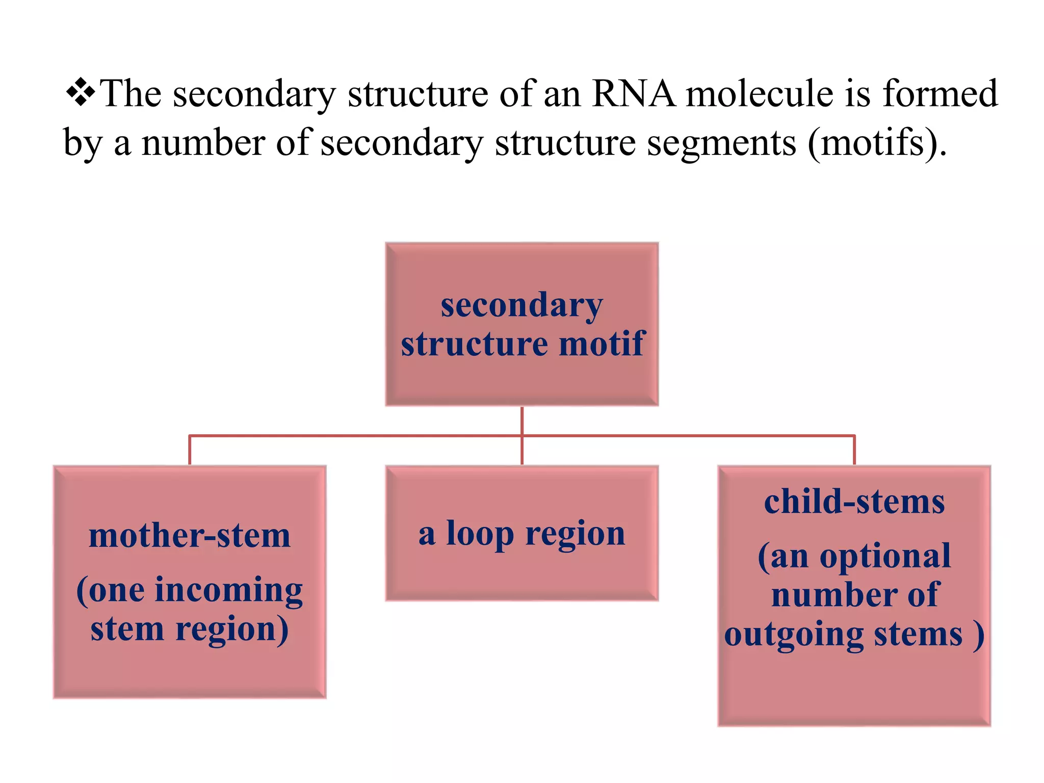 The secondary structure of an RNA molecule is formed
by a number of secondary structure segments (motifs).
secondary
structure motif
mother-stem
(one incoming
stem region)
a loop region
child-stems
(an optional
number of
outgoing stems )
 
