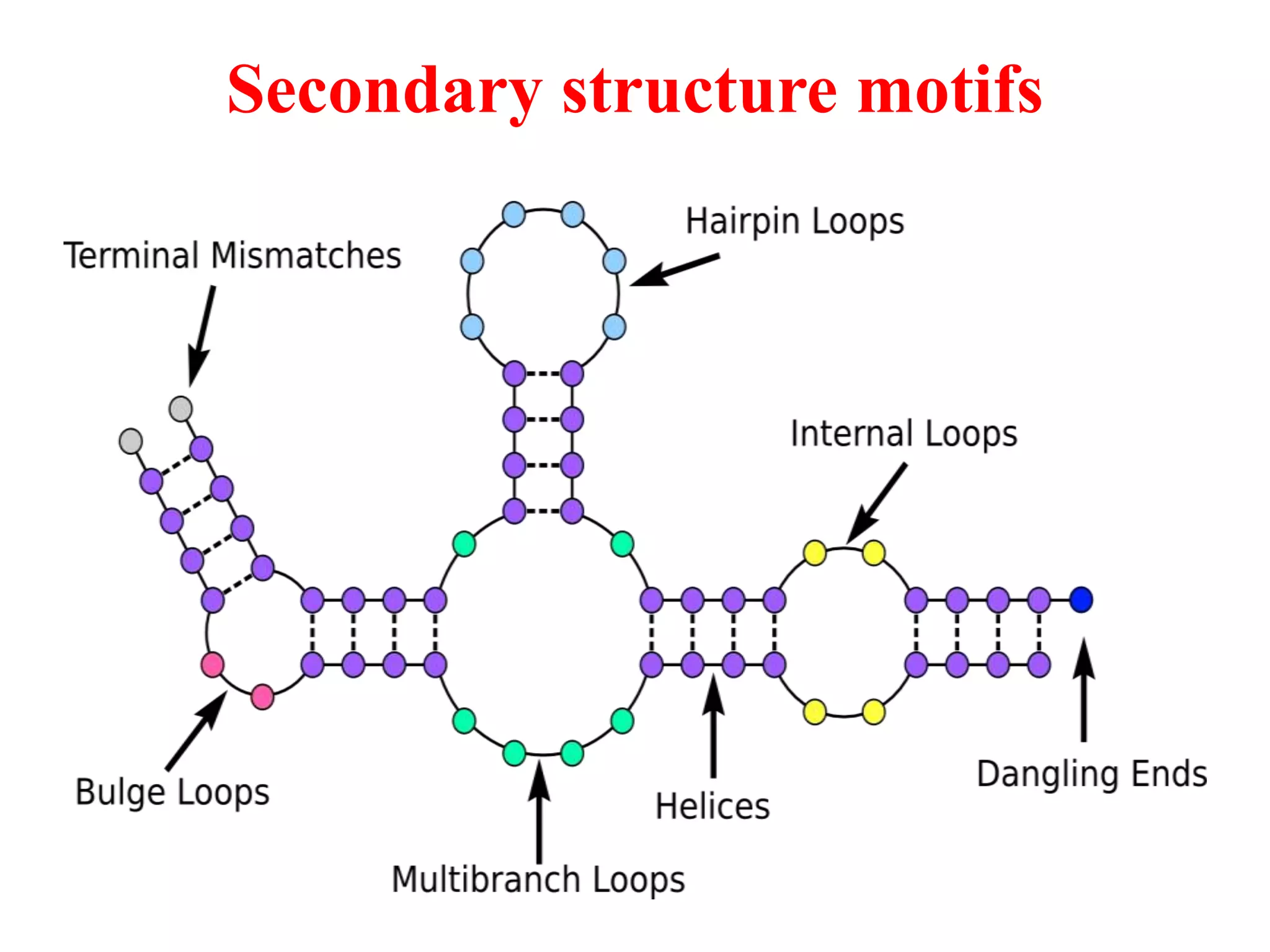 Secondary structure motifs
 
