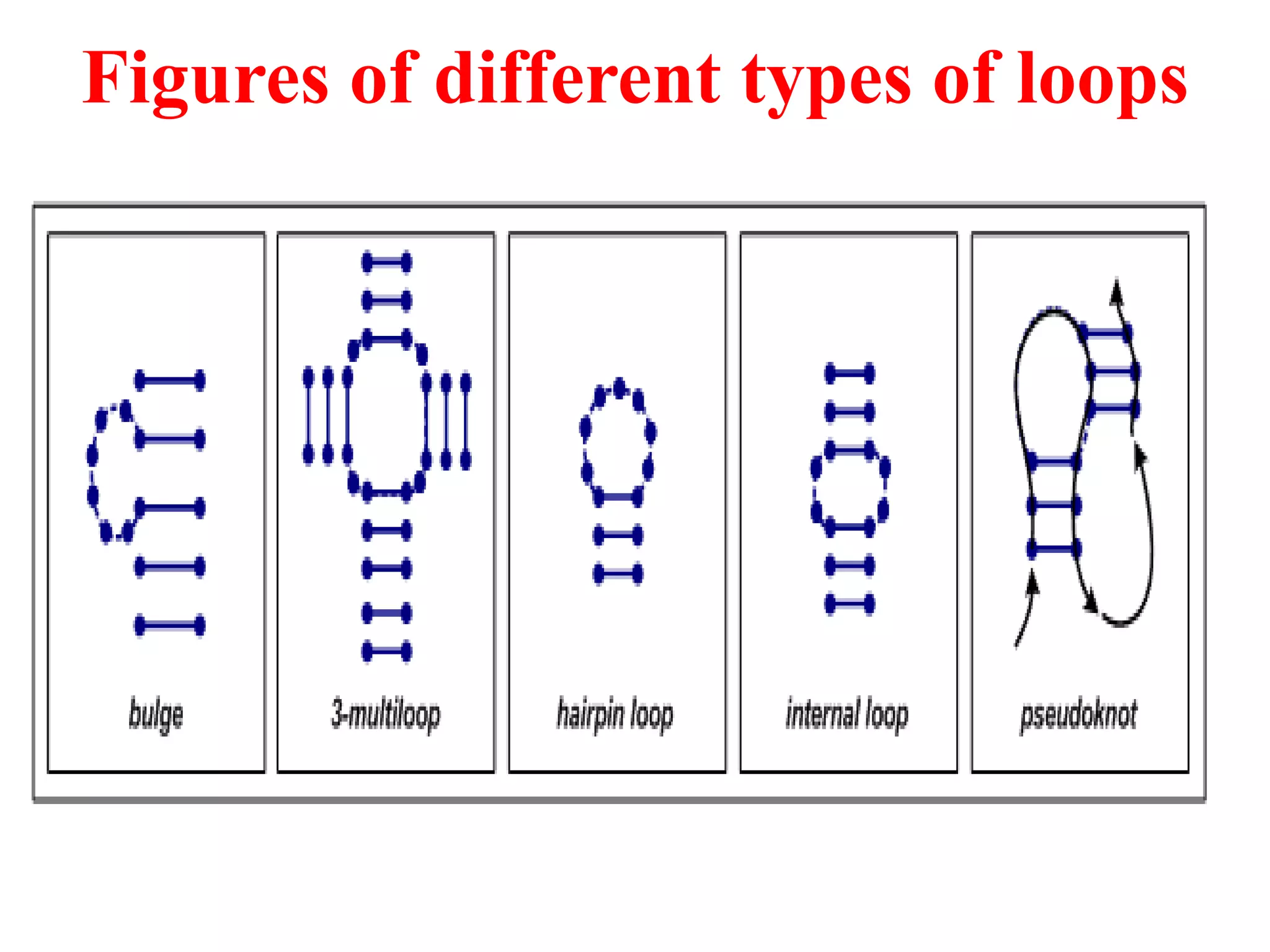 Figures of different types of loops
 