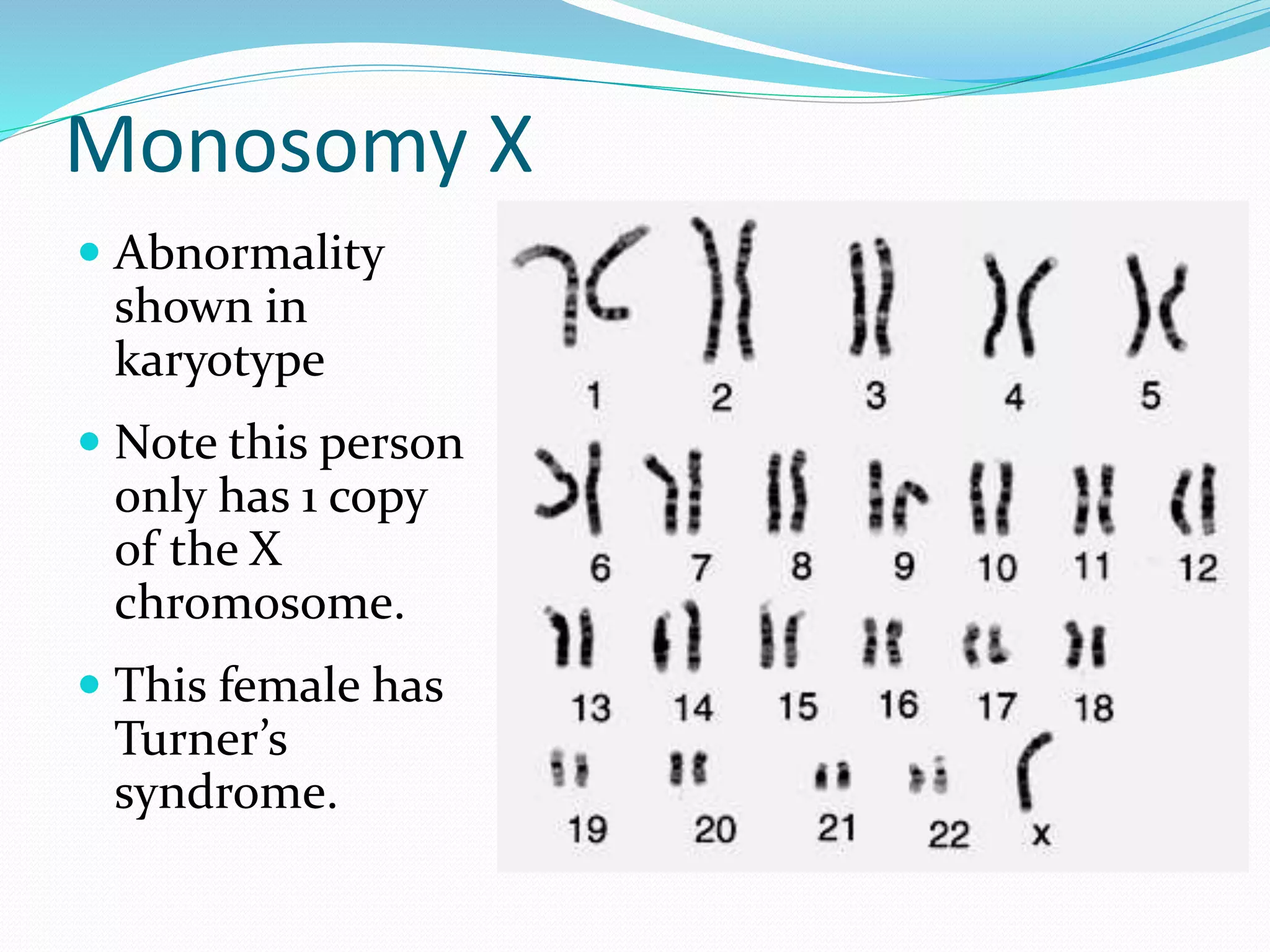 Secondary cell culture PPT