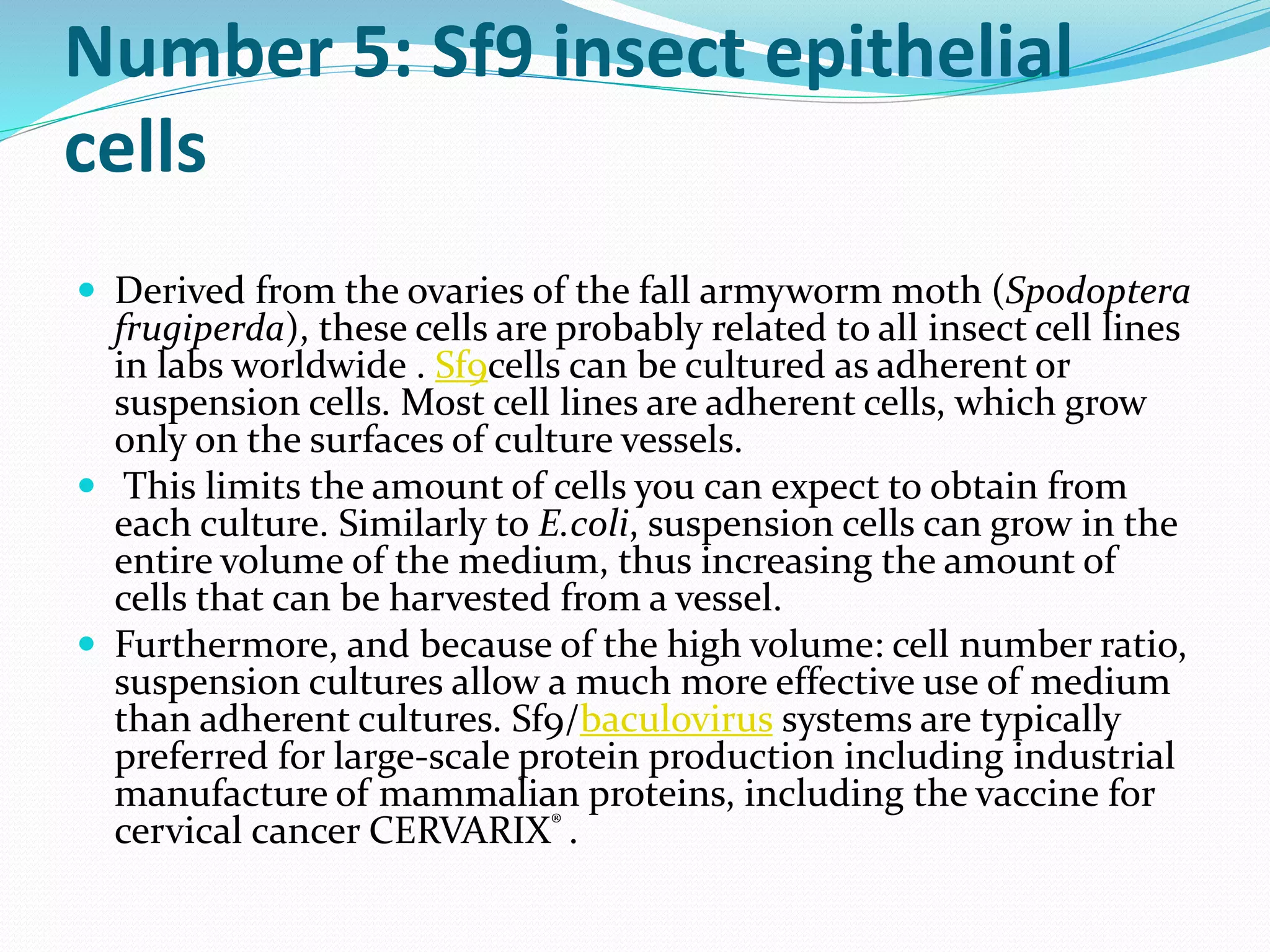 Secondary cell culture