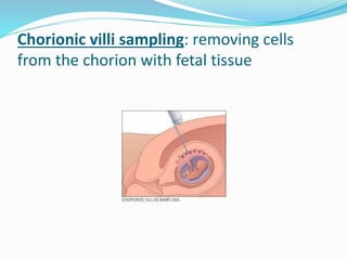 Secondary cell culture | PPTX