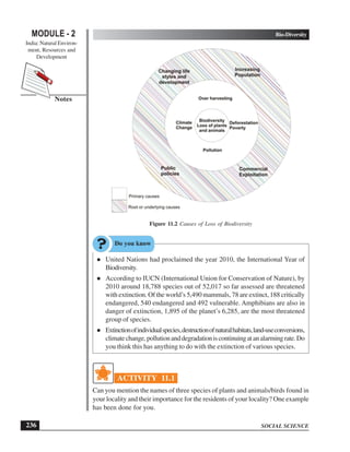 SOCIAL SCIENCE
Bio-Diversity
236
MODULE - 2
India: Natural Environ-
ment, Resources and
Development
Notes
Figure 11.2 Causes of Loss of Biodiversity
l United Nations had proclaimed the year 2010, the International Year of
Biodiversity.
l According to IUCN (International Union for Conservation of Nature), by
2010 around 18,788 species out of 52,017 so far assessed are threatened
with extinction. Of the world’s 5,490 mammals, 78 are extinct, 188 critically
endangered, 540 endangered and 492 vulnerable. Amphibians are also in
danger of extinction, 1,895 of the planet’s 6,285, are the most threatened
group of species.
l Extinctionofindividualspecies,destructionofnaturalhabitats,land-useconversions,
climatechange,pollutionanddegradationiscontinuingatanalarmingrate.Do
you think this has anything to do with the extinction of various species.
ACTIVITY 11.1
Can you mention the names of three species of plants and animals/birds found in
your locality and their importance for the residents of your locality? One example
has been done for you.
 
