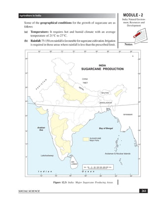 MODULE - 2
India: Natural Environ-
ment, Resources and
Development
261
Agriculture in India
SOCIAL SCIENCE
Notes
Some of the geographical conditions for the growth of sugarcane are as
follows:
(a) Temperature: It requires hot and humid climate with an average
temperature of 21°C to 27°C.
(b) Rainfall:75-150cmrainfallisfavourableforsugercanecultivation.Irrigation
is required in those areas where rainfall is less than the prescribed limit.
Figure 12.3: India: Major Sugarcane Producing Areas
Bay of Bengal
Lakshadweep
Andaman  Nicobar Islands
Arabian
Sea
I n d i a n O c e a n
BHUTAN
BANGLADESH
CHINA
TIBET
NEPAL
P
A
K
I
S
T
A
N
MYANMAR
INDIA
SUGARCANE PRODUCTION
km. 50 0 50 100 150 200 250 km.
Major Parts
SUGARCANE
64° 68° 76° 80°
72° 84° 88° 96°
92°
72° 80°
76° 88° 96°
92°
84°
8°
12°
16°
20°
24°
28°
32°
36°
8°
12°
16°
20°
24°
28°
32°
36°
SRI
LANKA
km. 50 0 50 100 150 200 250 km.
km. 50 0 50 100 150 200 250 km.
 