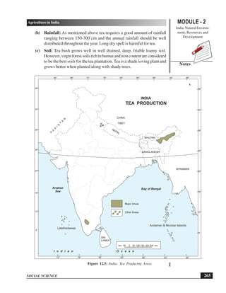 MODULE - 2
India: Natural Environ-
ment, Resources and
Development
265
Agriculture in India
SOCIAL SCIENCE
Notes
(b) Rainfall: As mentioned above tea requires a good amount of rainfall
ranging between 150-300 cm and the annual rainfall should be well
distributed throughout the year. Long dry spell is harmful for tea.
(c) Soil: Tea bush grows well in well drained, deep, friable loamy soil.
However, virginforestsoilsrichinhumusandironcontentareconsidered
to be the best soils for the tea plantation. Tea is a shade loving plant and
grows better when planted along with shady trees.
Figure 12.5: India: Tea Producing Areas
Bay of Bengal
Lakshadweep
Andaman  Nicobar Islands
Arabian
Sea
I n d i a n O c e a n
INDIA
TEA PRODUCTION
km. 50 0 50 100 150 200 250 km.
Major Areas
Other Areas
BHUTAN
BANGLADESH
CHINA
TIBET
NEPAL
P
A
K
I
S
T
A
N
MYANMAR
SRI
LANKA
64° 68° 76° 80°
72° 84° 88° 96°
92°
72° 80°
76° 88° 96°
92°
84°
8°
12°
16°
20°
24°
28°
32°
36°
8°
12°
16°
20°
24°
28°
32°
36°
 