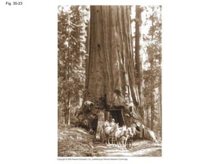 Fig. 35-23
 