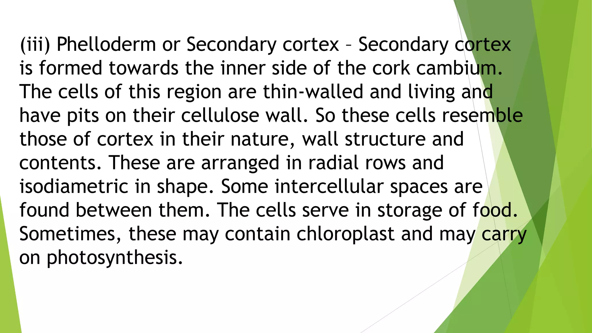 Secondary growth.pptx