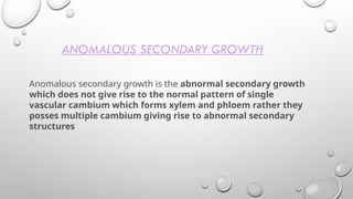 ANOMALOUS SECONDARY GROWTH
Anomalous secondary growth is the abnormal secondary growth
which does not give rise to the normal pattern of single
vascular cambium which forms xylem and phloem rather they
posses multiple cambium giving rise to abnormal secondary
structures
 