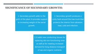 SIGNIFICANCE OF SECONDARY GROWTH:
1. Secondary growth adds to the
girth of the plant. It provides support
to increasing weight of the aerial
growth.
2. Secondary growth produces a
corky bark around the tree trunk that
protects the interior from abrasion,
heat, cold and infection.
3. It adds new conducting tissues for
replacing old non-functioning ones
as well as for meeting increased
demand for long distance transport
of sap and organic nutrients.
 