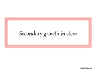Secondary growth in stem
Sakshi Sharma
 