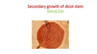 Secondary growth of dicot stem
Manoj Das
 