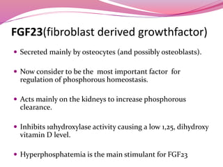FGF23(fibroblast derived growthfactor)
 Secreted mainly by osteocytes (and possibly osteoblasts).
 Now consider to be the most important factor for
regulation of phosphorous homeostasis.
 Acts mainly on the kidneys to increase phosphorous
clearance.
 Inhibits 1αhydroxylase activity causing a low 1,25, dihydroxy
vitamin D level.
 Hyperphosphatemia is the main stimulant for FGF23
 