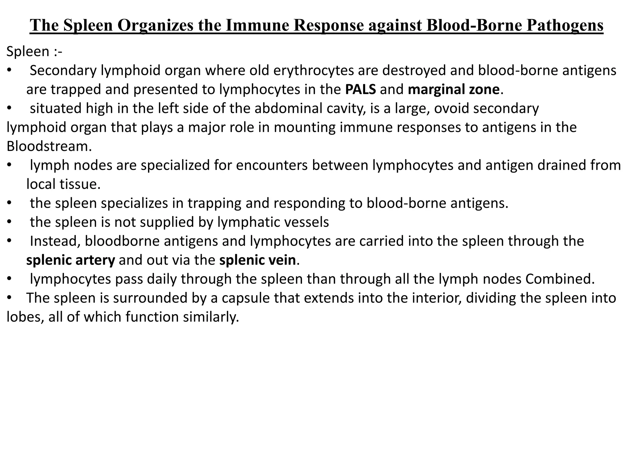 Secondary lymphatic system in humans system | PPTX