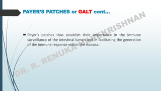 PAYER’S PATCHES or GALT cont…
 Peyer’s patches thus establish their importance in the immune
surveillance of the intestinal lumen and in facilitating the generation
of the immune response within the mucosa.
 