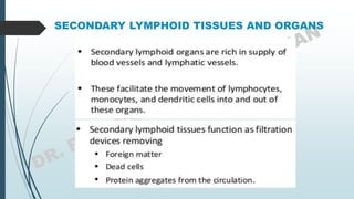 SECONDARY LYMPHOID TISSUES AND ORGANS
 LAHDMBFH
 FGTYUJNN
 
