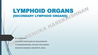LYMPHOID ORGANS
[SECONDARY LYMPHOID ORGANS]
Dr. R. RENUKA
ASSOCIATE PROFESSOR OF BIOCHEMISTRY
V.V.VANNIAPERUMAL COLLEGE FOR WOMEN
MADURAI KAMARAJ UNIVERSITY, INDIA.
 