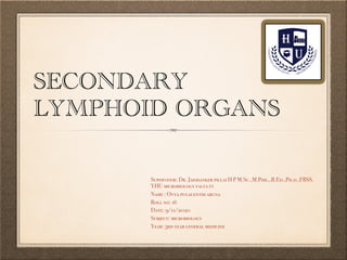 SECONDARY
LYMPHOID ORGANS
Supervisor: Dr. Jaishanker pillai H P M.Sc.,M.Phil.,B.Ed.,Ph.d.,FBSS.
YHU microbiology faculty
Name : Ovya pugalenthi aruna
Roll no: 16
Date: 9/11/2020
Subject: microbiology
Year: 3rd year general medicine
 
