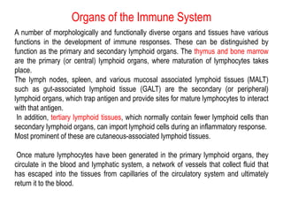 Organs of the Immune System
A number of morphologically and functionally diverse organs and tissues have various
functions in the development of immune responses. These can be distinguished by
function as the primary and secondary lymphoid organs. The thymus and bone marrow
are the primary (or central) lymphoid organs, where maturation of lymphocytes takes
place.
The lymph nodes, spleen, and various mucosal associated lymphoid tissues (MALT)
such as gut-associated lymphoid tissue (GALT) are the secondary (or peripheral)
lymphoid organs, which trap antigen and provide sites for mature lymphocytes to interact
with that antigen.
In addition, tertiary lymphoid tissues, which normally contain fewer lymphoid cells than
secondary lymphoid organs, can import lymphoid cells during an inflammatory response.
Most prominent of these are cutaneous-associated lymphoid tissues.
Once mature lymphocytes have been generated in the primary lymphoid organs, they
circulate in the blood and lymphatic system, a network of vessels that collect fluid that
has escaped into the tissues from capillaries of the circulatory system and ultimately
return it to the blood.
 