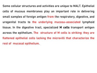 Some cellular structures and activities are unique to MALT. Epithelial
cells of mucous membranes play an important role in delivering
small samples of foreign antigen from the respiratory, digestive, and
urogenital tracts to the underlying mucosa-associated lymphoid
tissue. In the digestive tract, specialized M cells transport antigen
across the epithelium. The structure of M cells is striking: they are
flattened epithelial cells lacking the microvilli that characterize the
rest of mucosal epithelium.
 