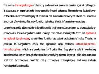 The skin is the largest organ in the body and a critical anatomic barrier against pathogens.
It also plays an important role in nonspecific (innate) defenses. The epidermal (outer) layer
of the skin is composed largely of epithelial cells called keratinocytes. These cells secrete
a number of cytokines that may function to induce a local inflammatory reaction.
Langerhans cells, skin-resident dendritic cells that internalize antigen by phagocytosis or
endocytosis. These Langerhans cells undergo maturation and migrate from the epidermis
to regional lymph nodes, where they function as potent activators of naïve T cells. In
addition to Langerhans cells, the epidermis also contains intraepidermal
lymphocytes, which are predominantly T cells; that they play a role in combating
infections that enter through the skin.The underlying dermal layer of skin also contains
scattered lymphocytes, dendritic cells, monocytes, macrophages, and may include
hematopoietic stem cells.
 