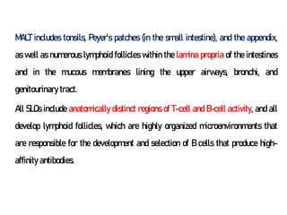 MALT includes tonsils, Peyer’s patches (in the small intestine), and the appendix,
as well as numerous lymphoid follicles within the lamina propria of the intestines
and in the mucous membranes lining the upper airways, bronchi, and
genitourinary tract.
All SLOs include anatomically distinct regions of T-cell and B-cell activity, and all
develop lymphoid follicles, which are highly organized microenvironments that
are responsible for the development and selection of B cells that produce high-
affinity antibodies.
 