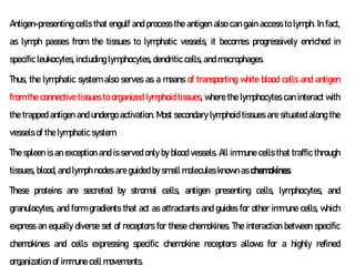 Antigen-presenting cells that engulf and process the antigen also can gain access to lymph. In fact,
as lymph passes from the tissues to lymphatic vessels, it becomes progressively enriched in
specific leukocytes, including lymphocytes, dendritic cells, and macrophages.
Thus, the lymphatic system also serves as a means of transporting white blood cells and antigen
from the connective tissues to organized lymphoid tissues, where the lymphocytes can interact with
the trapped antigen and undergo activation. Most secondary lymphoid tissues are situated along the
vessels of the lymphatic system.
The spleen is an exception and is served only by blood vessels. All immune cells that traffic through
tissues, blood, and lymph nodes are guided by small molecules known as chemokines.
These proteins are secreted by stromal cells, antigen presenting cells, lymphocytes, and
granulocytes, and form gradients that act as attractants and guides for other immune cells, which
express an equally diverse set of receptors for these chemokines. The interaction between specific
chemokines and cells expressing specific chemokine receptors allows for a highly refined
organization of immune cell movements.
 