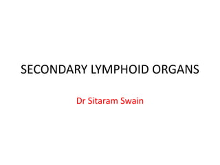 SECONDARY LYMPHOID ORGANS
Dr Sitaram Swain
 