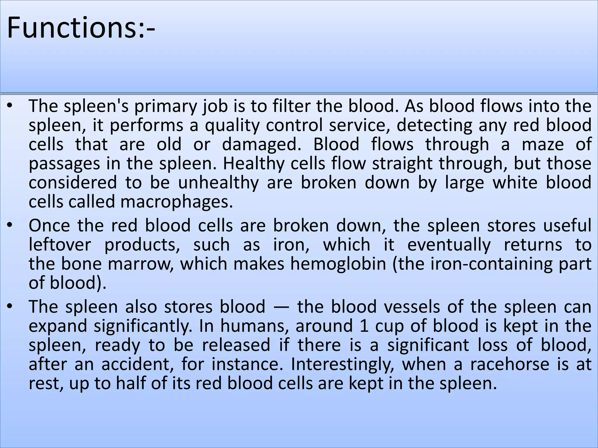 Secondary lymphoid organ (spleen) | PPTX