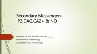 Secondary Messengers
IP3,DAG,CA2+ & NO
Presented by: Miss. Rubina U. Watangi. M. Pharm
Department of Pharmacology
Subject: Molecular Pharmacology
 