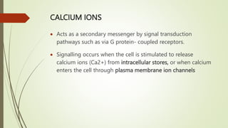 CALCIUM IONS
 Acts as a secondary messenger by signal transduction
pathways such as via G protein- coupled receptors.
 Signalling occurs when the cell is stimulated to release
calcium ions (Ca2+) from intracellular stores, or when calcium
enters the cell through plasma membrane ion channels
 