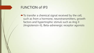 FUNCTION of IP3
To transfer a chemical signal received by the cell,
such as from a hormone, neurotransmitters, growth
factors and hypertrophic stimuli such as Ang II
(Angiotensin-II), Beta-adrenergic receptor agonists
 