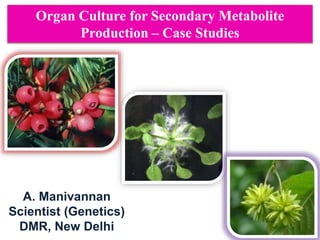 Organ Culture for Secondary Metabolite
Production – Case Studies
A. Manivannan
Scientist (Genetics)
DMR, New Delhi
 