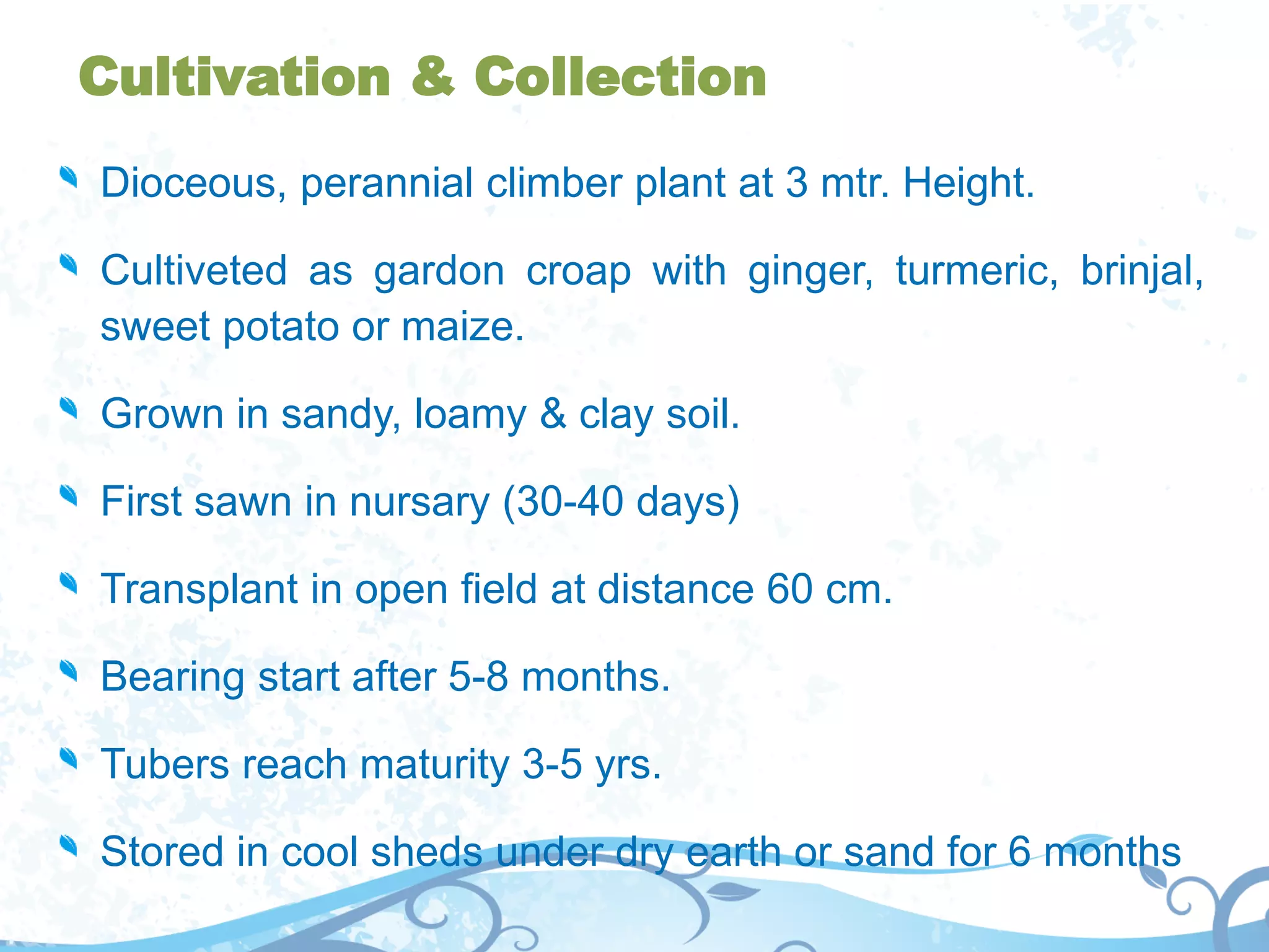 Cultivation & Collection
Dioceous, perannial climber plant at 3 mtr. Height.
Cultiveted as gardon croap with ginger, turmeric, brinjal,
sweet potato or maize.
Grown in sandy, loamy & clay soil.
First sawn in nursary (30-40 days)
Transplant in open field at distance 60 cm.
Bearing start after 5-8 months.
Tubers reach maturity 3-5 yrs.
Stored in cool sheds under dry earth or sand for 6 months
 