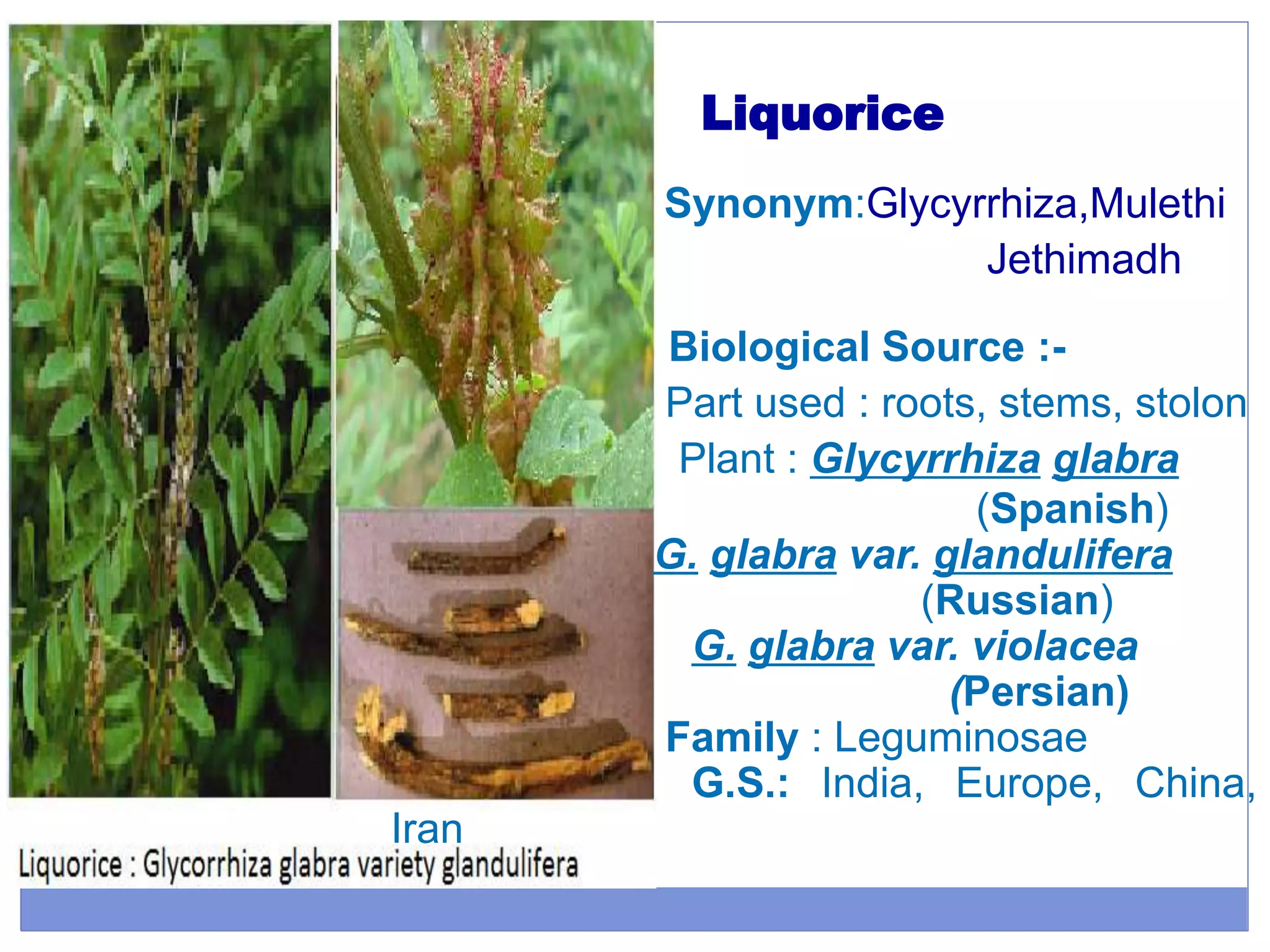 Liquorice
Synonym:Glycyrrhiza,Mulethi
Jethimadh
Biological Source :-
Part used : roots, stems, stolon
Plant : Glycyrrhiza glabra
(Spanish)
G. glabra var. glandulifera
(Russian)
G. glabra var. violacea
(Persian)
Family : Leguminosae
G.S.: India, Europe, China,
Iran
 