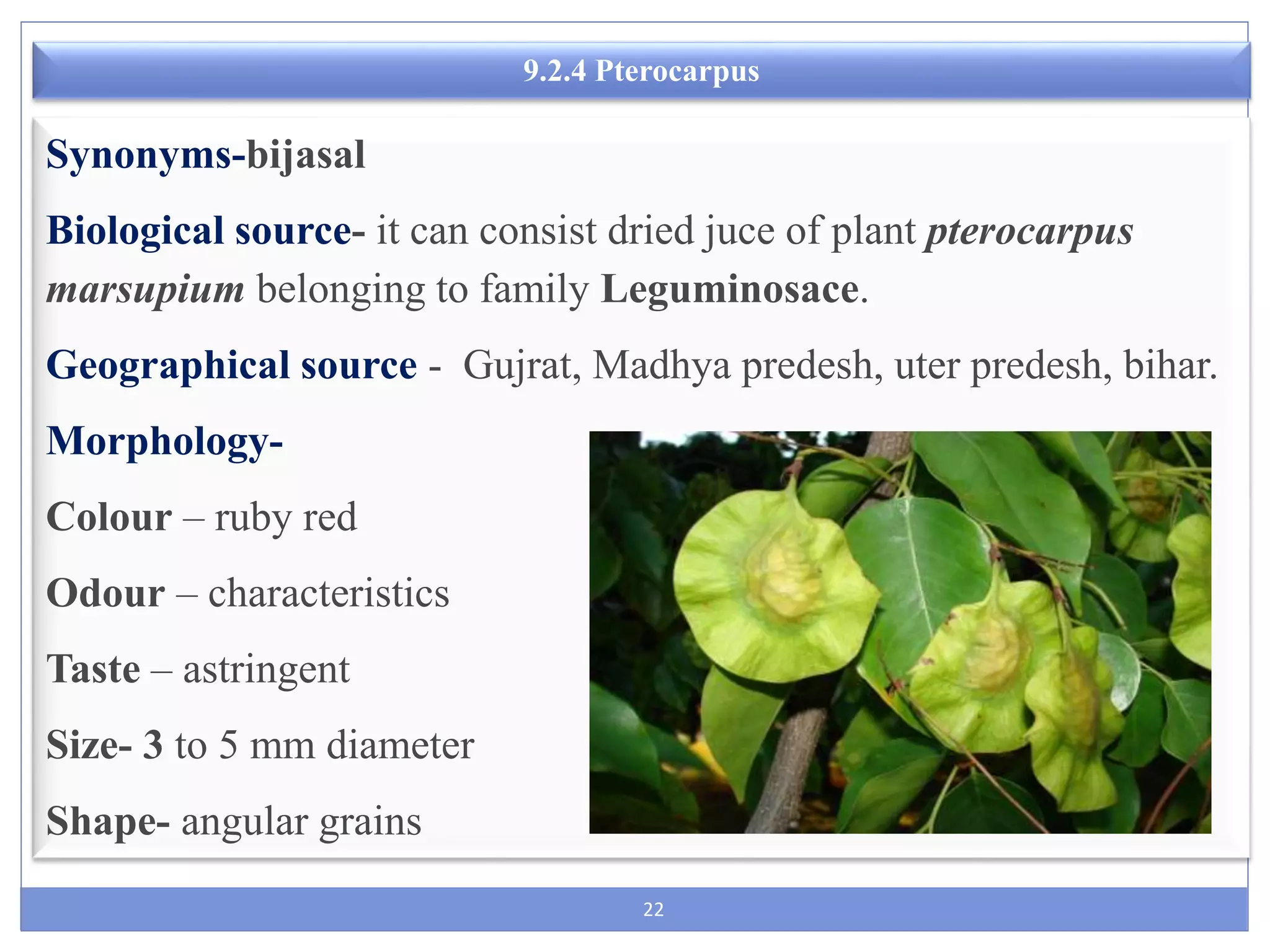 22
9.2.4 Pterocarpus
Synonyms-bijasal
Biological source- it can consist dried juce of plant pterocarpus
marsupium belonging to family Leguminosace.
Geographical source - Gujrat, Madhya predesh, uter predesh, bihar.
Morphology-
Colour – ruby red
Odour – characteristics
Taste – astringent
Size- 3 to 5 mm diameter
Shape- angular grains
 