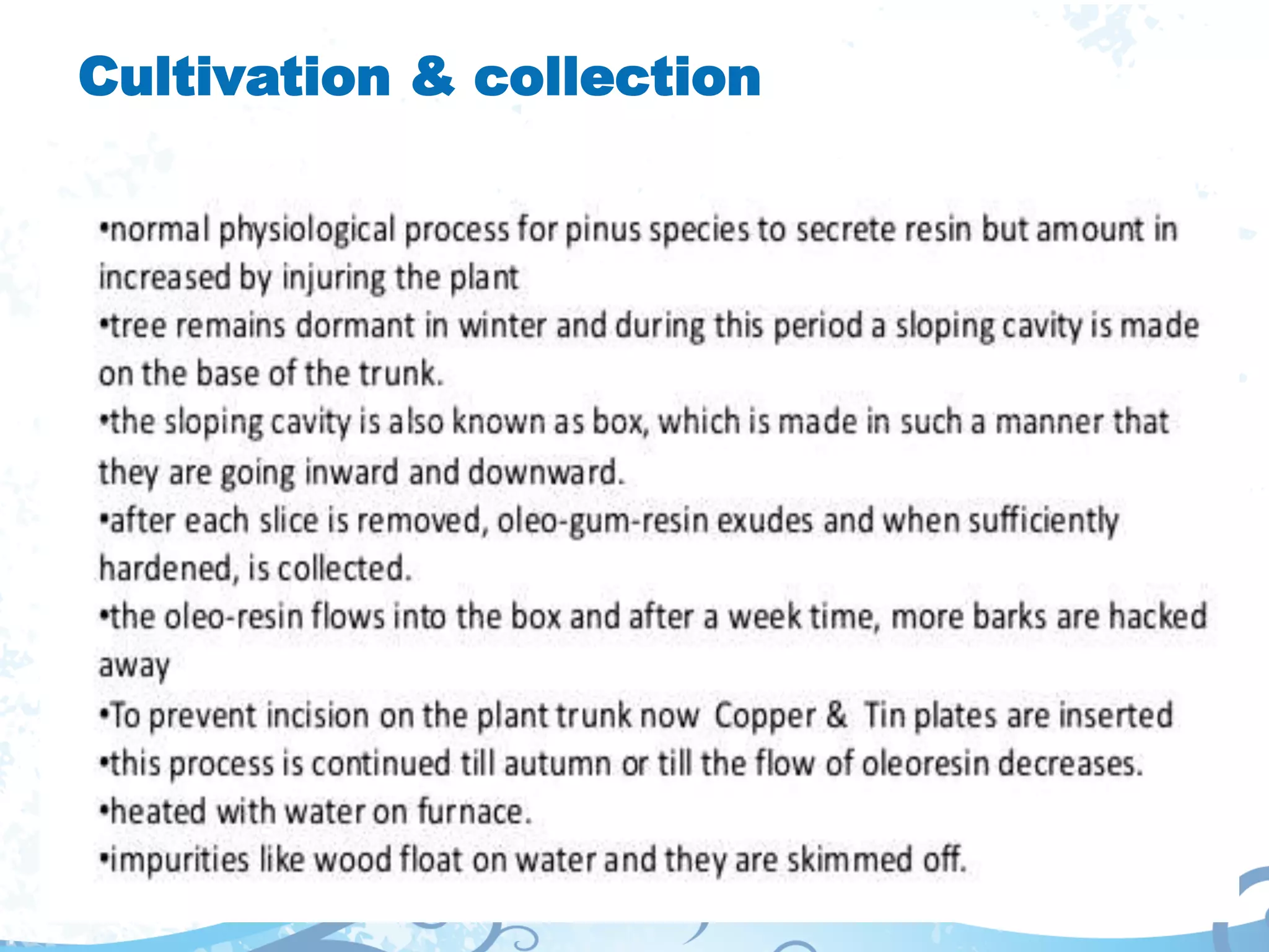 Cultivation & collection
 