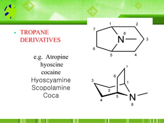  TROPANE
DERIVATIVES
e.g. Atropine
hyoscine
cocaine
Hyoscyamine
Scopolamine
Coca
 