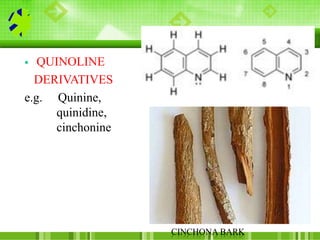  QUINOLINE
DERIVATIVES
e.g. Quinine,
quinidine,
cinchonine
CINCHONA BARK
 